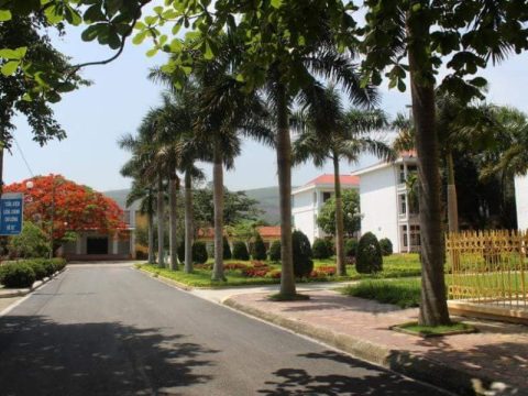 Trường Cao đẳng Nông Lâm Đông Bắc