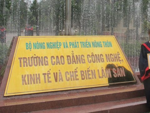 Cao đẳng Công nghệ, Kinh tế và Chế biến lâm sản