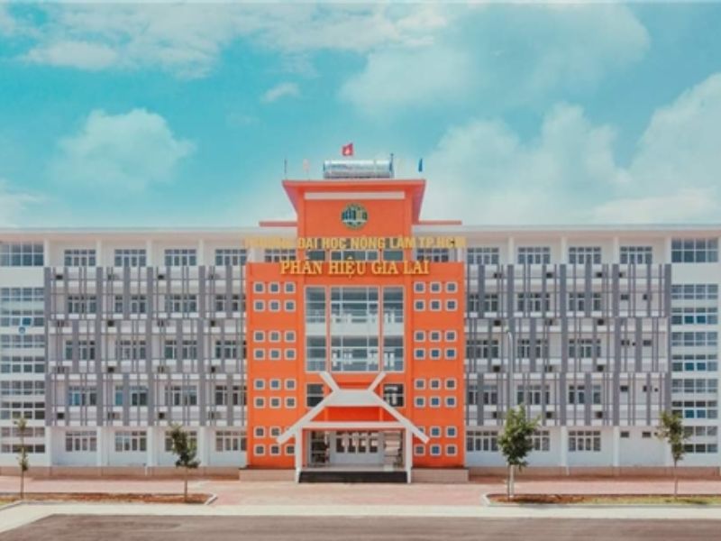 Trường Đại học Nông Lâm TP HCM - Phân hiệu Gia Lai 