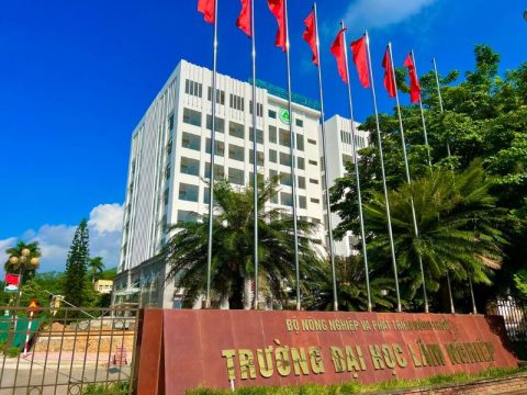 Trường ĐH Lâm nghiệp